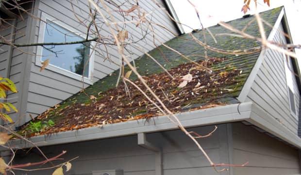Cleaning the roof of debris is part of exterior spring maintenance.