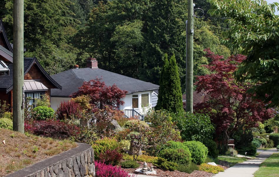 Burnaby realtor James Garbutt talks about bylaws and procedures you need to know about removing trees on private property.